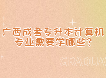 广西成考专升本