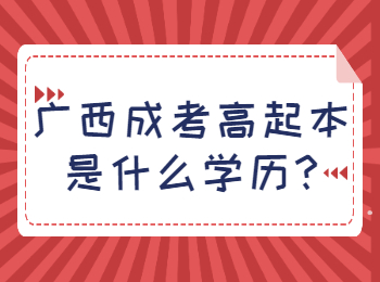 广西成考高起本是什么学历