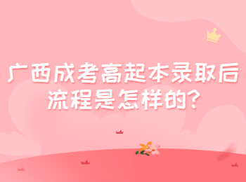 广西成考高起本录取