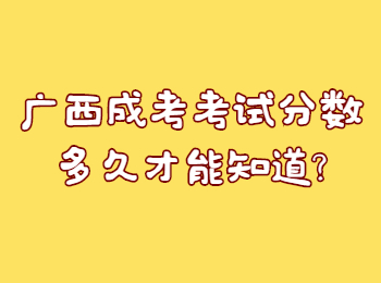 广西成考考试分数多久才能知道