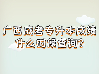 广西成考专升本成绩什么时候查询