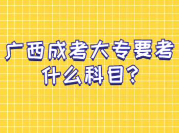 广西成考大专要考什么科目