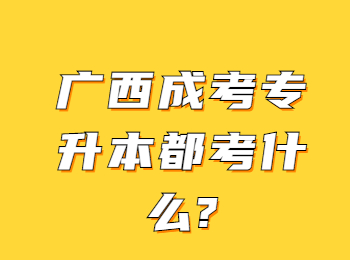 广西成考专升本都考什么?