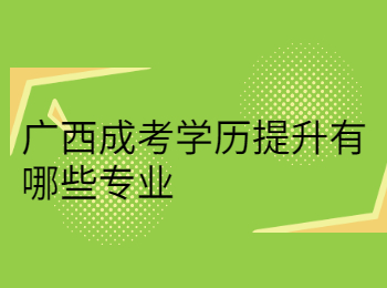 广西成考学历提升有哪些专业