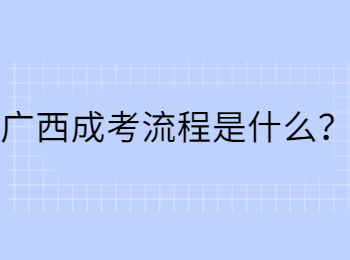 广西成考流程是什么？