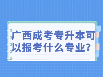 广西成考专升本可以报考什么专业？
