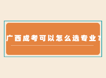 广西成考可以怎么选专业？