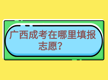 广西成考在哪里填报志愿？