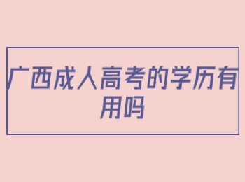 广西成人高考大专有什么专业？