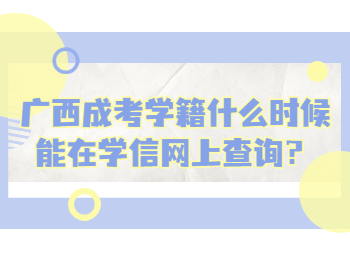 广西成考学籍什么时候能在学信网上查询？