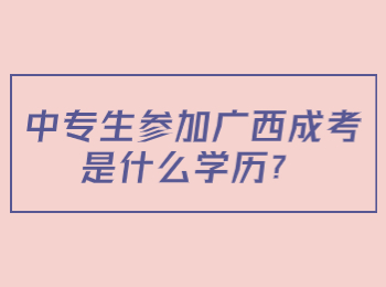 中专生参加广西成考是什么学历？