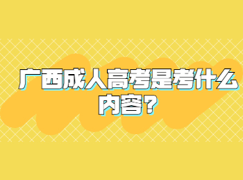 广西成人高考是考什么内容?