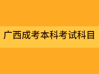 广西成考本科考试科目