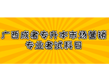 广西成考专升本市场营销专业考试科目