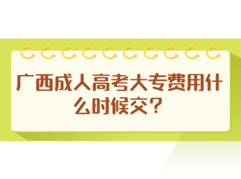 广西成人高考大专费用什么时候交？