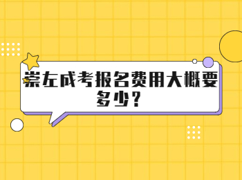 崇左成考报名费用大概要多少？