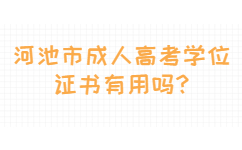 河池市成人高考学位证书有用吗