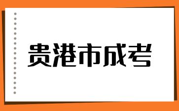 贵港成人高考录取查询在什么时候？