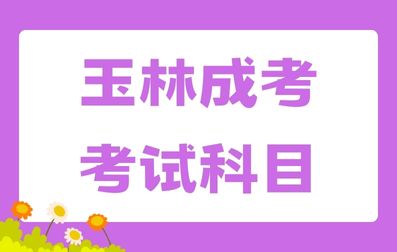 玉林成考考试科目